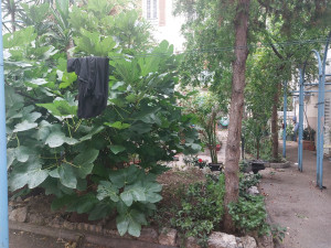 Photo de galerie - Mon compagnon  entretien le jardin 