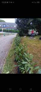 Photo de galerie - Paysagiste - Aménagement du jardin