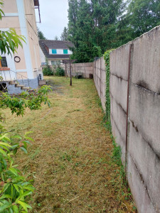 Photo de galerie - Tonte de pelouse - Débroussaillage