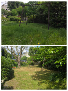 Photo de galerie - Jardinier