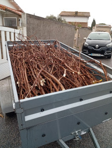 Photo de galerie - Elagage et coupe d'arbres