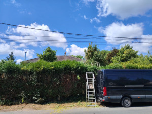 Photo de galerie - Travail fait sérieusement . 