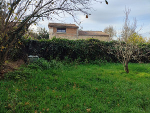 Photo de galerie - Tonte de pelouse - Débroussaillage