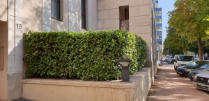 Photo de galerie - Paysagiste - Aménagement du jardin