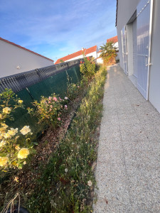 Photo de galerie - Tonte + désherbage 