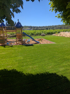 Photo de galerie - Création jardin plus aire de jeux pour enfants 