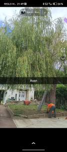 Photo de galerie - Abattage 