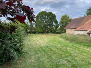 Photo de galerie - Tonte de pelouse - Débroussaillage