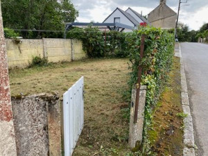 Photo de galerie - Après défrichage (tonte de haie + débroussaillage)