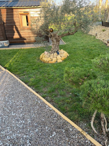 Photo de galerie - Réalisation de Jardin