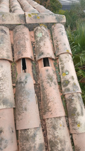 Photo de galerie - Intervention fuite