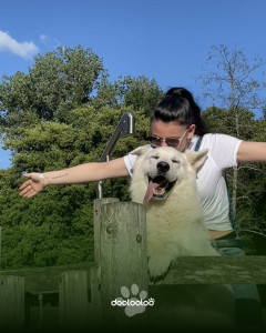 Photo de galerie - Une sortie avec mon chien
