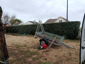 Photo de galerie - Taille de haies chez un particulier 