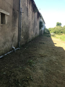 Photo de galerie - DEBROUSSAILLAGE APRES