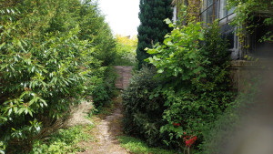 Photo de galerie - Avant / Taille des arbustes & Nettoyage de l'allée.