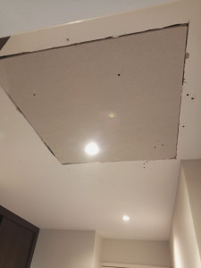 Photo de galerie - Réparation plafond 