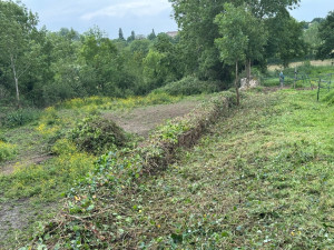 Photo de galerie - Tonte de pelouse - Débroussaillage