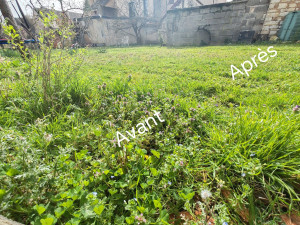 Photo de galerie - Image avant et après la tente 