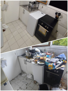 Photo de galerie - Nettoyage cuisine

(Tri, évacuation, désinfection, nettoyage, rangement)