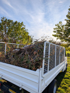 Photo de galerie - Évacuation déchets - Gravats