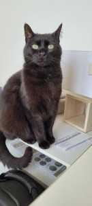 Photo de galerie - Garde animaux