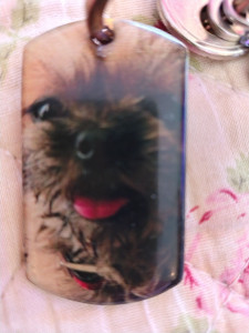 Photo de galerie - Je vous présente mon autre petit chou qui est parti au paradis il y a 7 ans .
Après son départ je n'en veux plus car quand ils sont plus avec nous, je suis trop malheureuse. 
J'espère qu'il est au paradis......