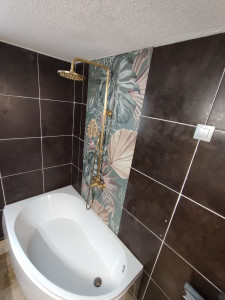 Photo de galerie - Installation baignoire et colonne de douche 