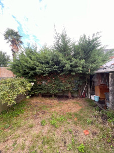 Photo de galerie - Intervention sur une haie de 2,50 m/ 4,50 de large !  avant/ après 