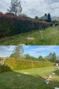 Photo de galerie - Taille de haie + ramassages de déchets vert et mise en déchèterie 