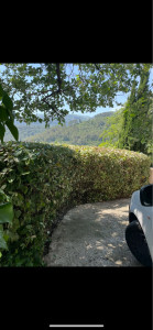 Photo de galerie - Jardinier