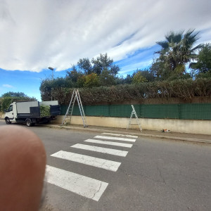 Photo de galerie - Rabattage de haie avec évacuation des végétaux. 