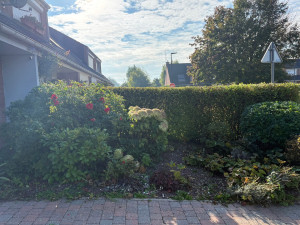 Photo de galerie - Taille de haie et de massif 