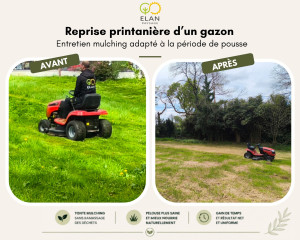 Photo de galerie - Tonte en mulching
