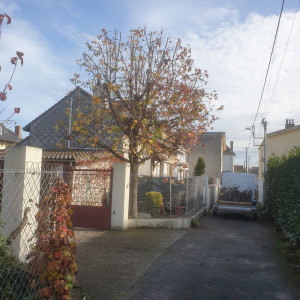 Photo de galerie - élagage d'un chêne 