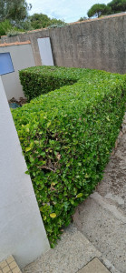 Photo de galerie - Taille 