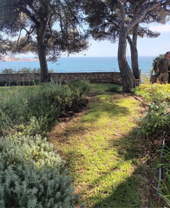 Photo de galerie - Tonte de pelouse - Débroussaillage