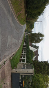 Photo de galerie - Taille de haie 