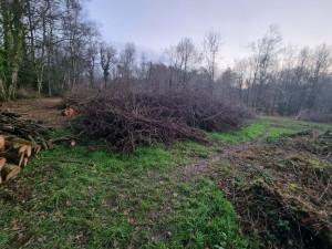 Photo de galerie - .