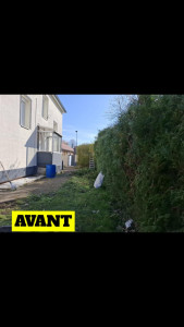Photo de galerie - Taille de haies et d'arbustes