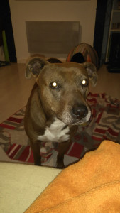 Photo de galerie - Oups elle m'a eut
