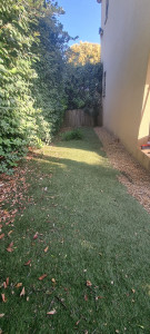 Photo de galerie - Paysagiste - Aménagement du jardin