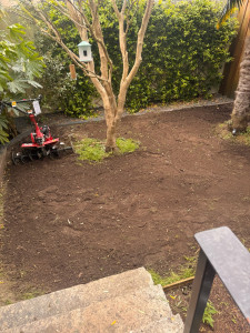 Photo de galerie - Paysagiste - Aménagement du jardin