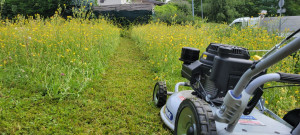 Photo de galerie - Tonte Mulching, mise en place de cheminement favorisant la biodiversité et l'usage.