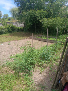 Photo de galerie - Retourne la terre plante des semis et coffrage pour plante aromatique 