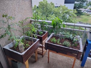 Photo de galerie - Jardinier