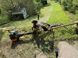 Photo de galerie - Tonte de pelouse - Débroussaillage