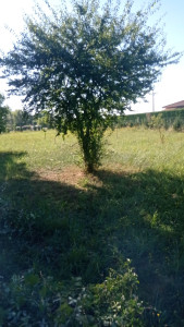 Photo de galerie - Bonjour 