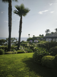 Photo de galerie - Jardin st Tropez 