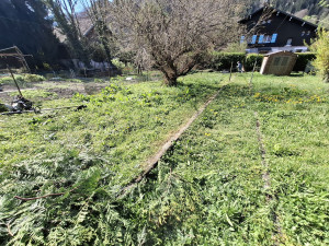 Photo de galerie - Tonte de pelouse - Débroussaillage