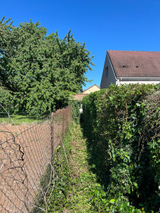 Photo de galerie - .